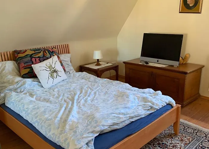 Freistehendes Haus Mit Grossem Garten Zur Alleinigen Nutzung * Grosskrotzenburg